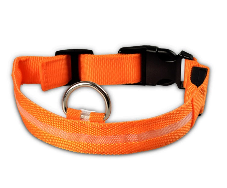 Collare LED Luminoso per Cani e Gatti 🌟🐾 – Sicurezza Notturna