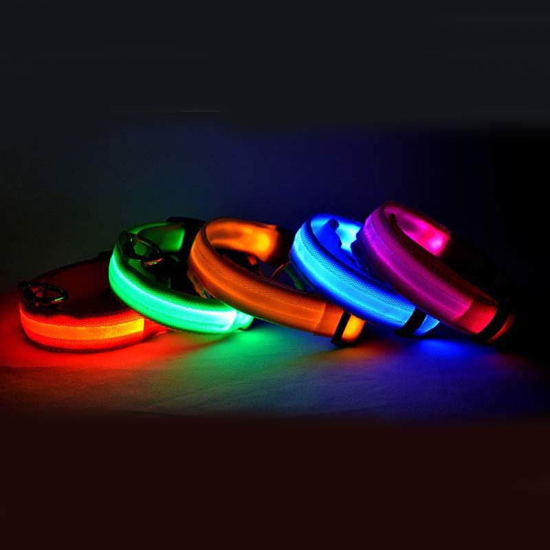 Collare LED Luminoso per Cani e Gatti 🌟🐾 – Sicurezza Notturna