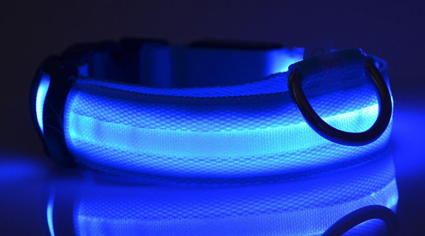 Collare LED Luminoso per Cani e Gatti 🌟🐾 – Sicurezza Notturna