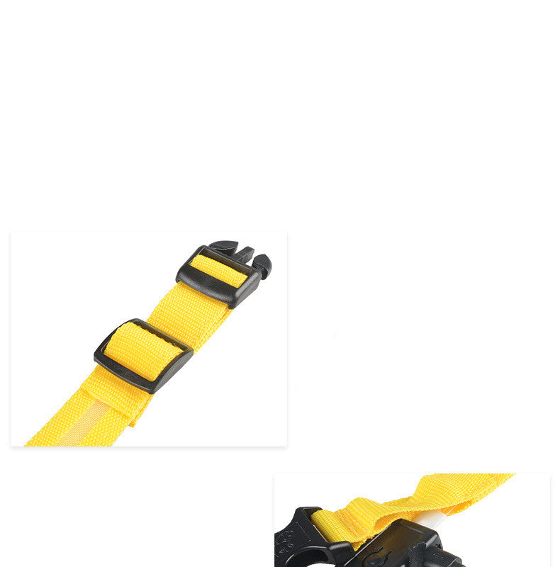 Collare LED Luminoso per Cani e Gatti 🌟🐾 – Sicurezza Notturna