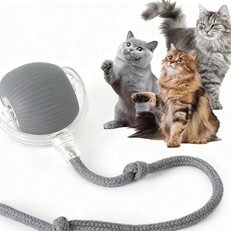 Mantieni il tuo gatto felice e attivo con questa palla interattiva Super Drive!