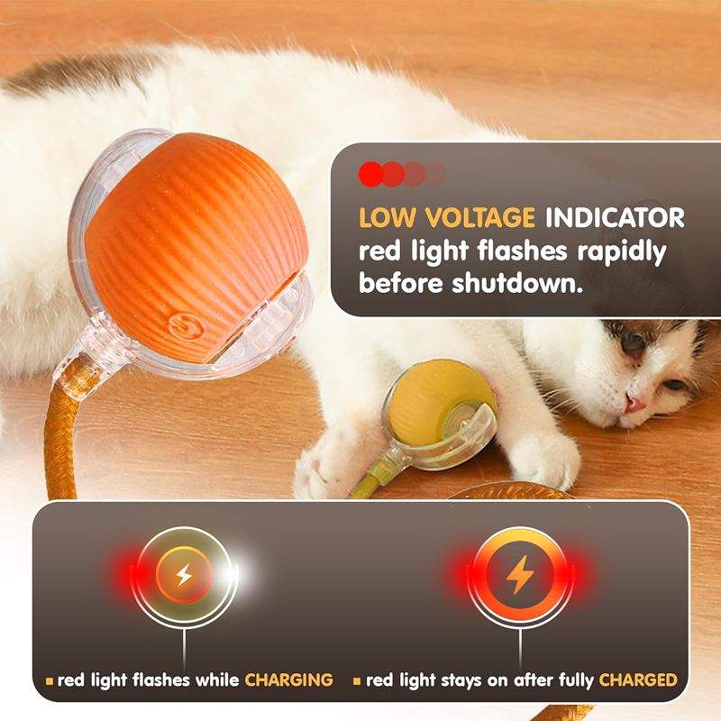 Mantieni il tuo gatto felice e attivo con questa palla interattiva Super Drive!