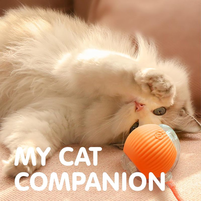 Mantieni il tuo gatto felice e attivo con questa palla interattiva Super Drive!