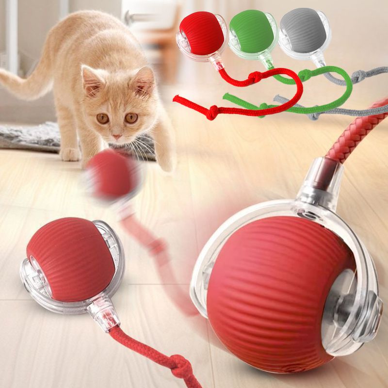 Mantieni il tuo gatto felice e attivo con questa palla interattiva Super Drive!