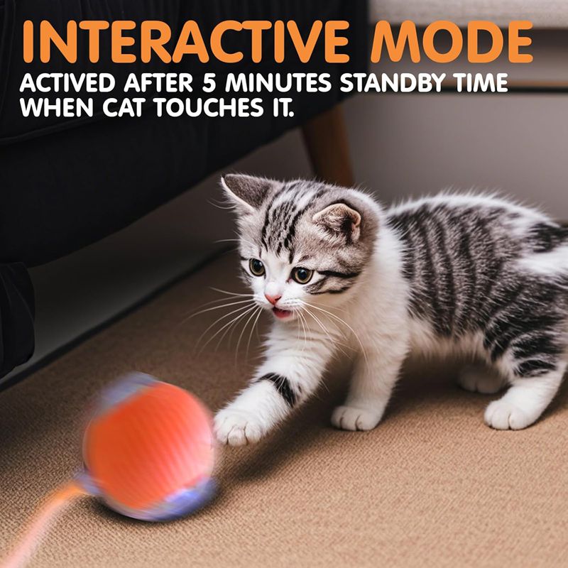 Mantieni il tuo gatto felice e attivo con questa palla interattiva Super Drive!