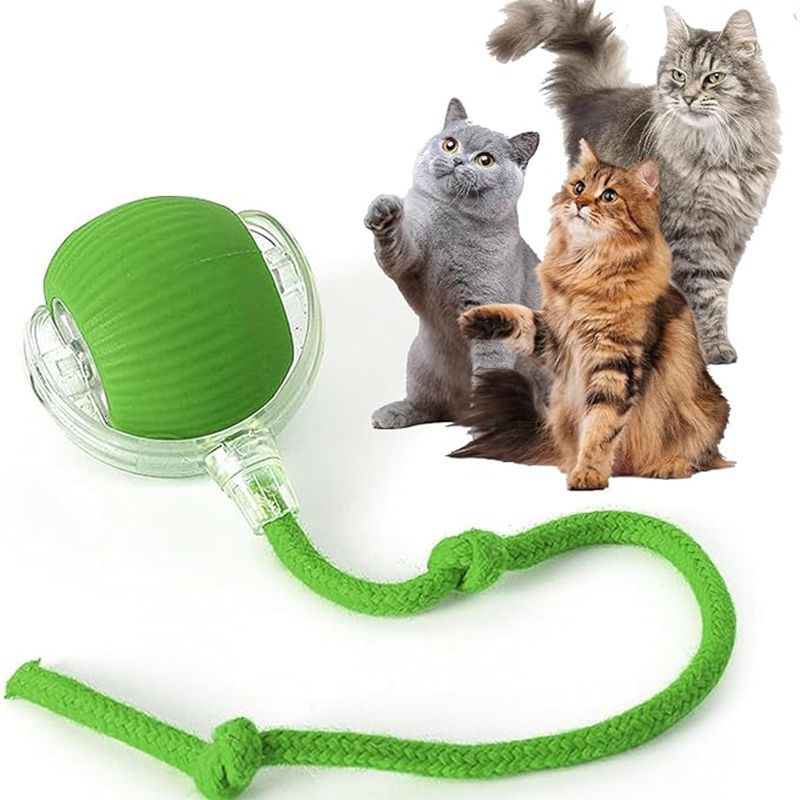 Mantieni il tuo gatto felice e attivo con questa palla interattiva Super Drive!